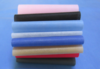 临海涤纶(PET)无纺布是什么