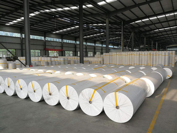 临海狭缝式涤纶纺粘无纺布